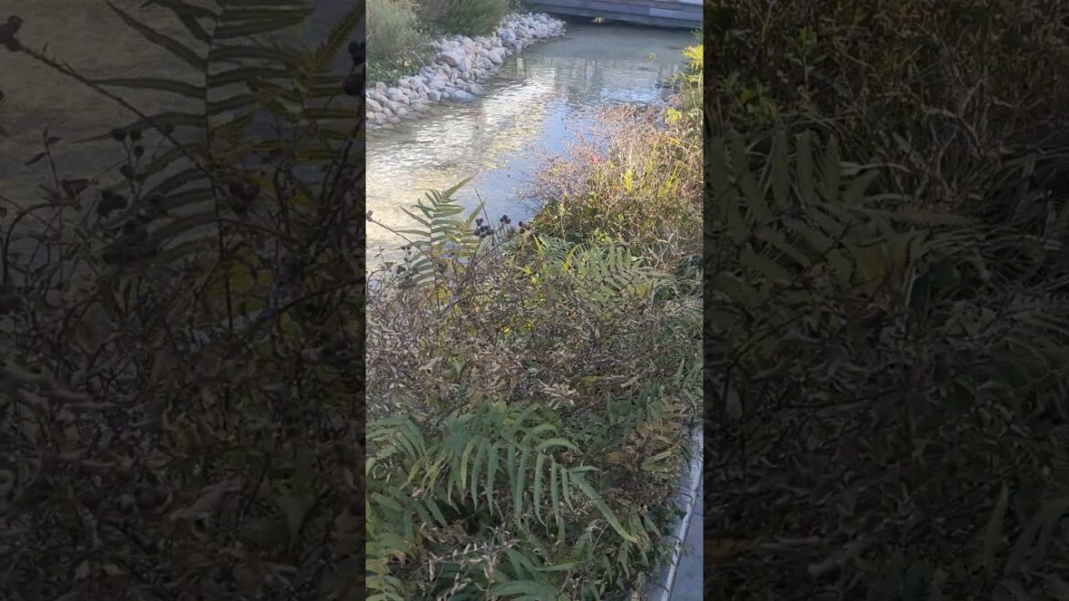 សួនទឹកធ្លាក់នៅ Umie, Kobe Tower, Kobe Port, Japan #traveling #travel #foryou #asiantravel  #phnom