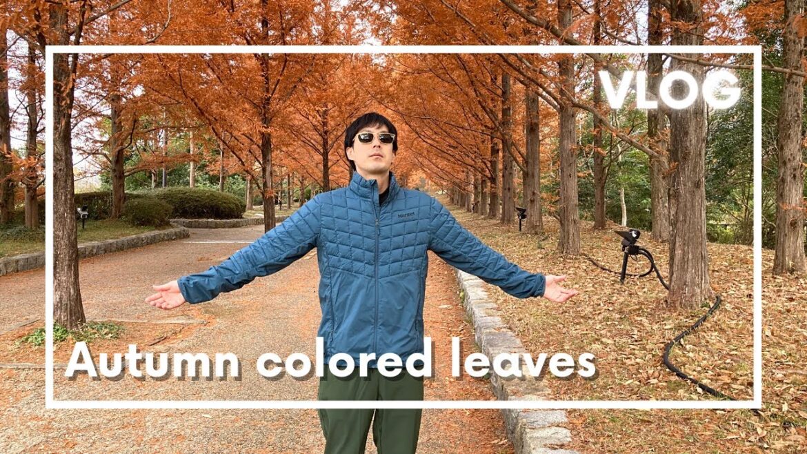 Autumn colored leaves Kobe city forest botanical garden, day in my life in Japan vlog
