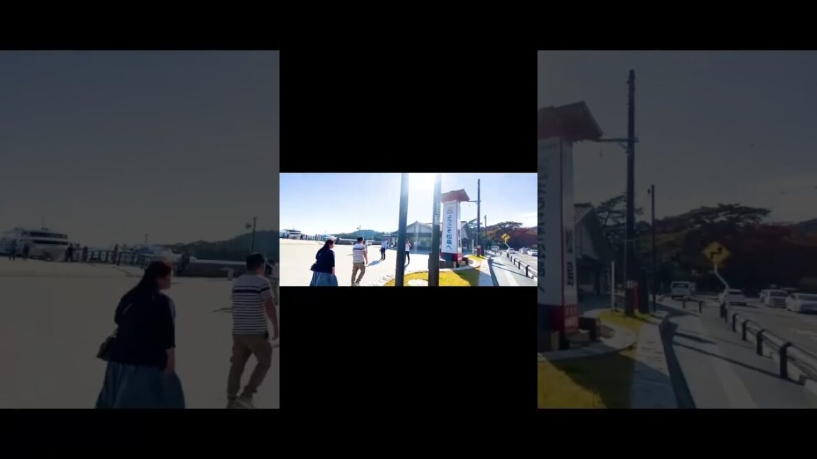 日本三景仙台松島( sendai matsushima japan ) #shorts