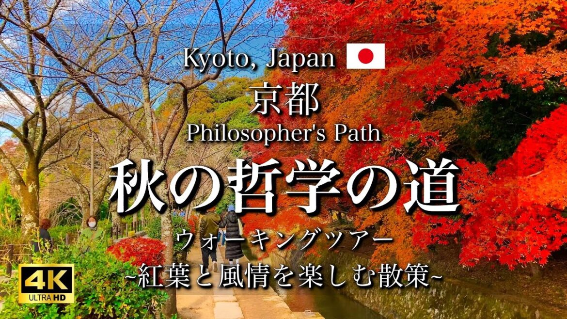 Philosopher's Path Walking Tour in Kyoto, Japan | Autumn Leaves and Beautiful Scenery [4K]