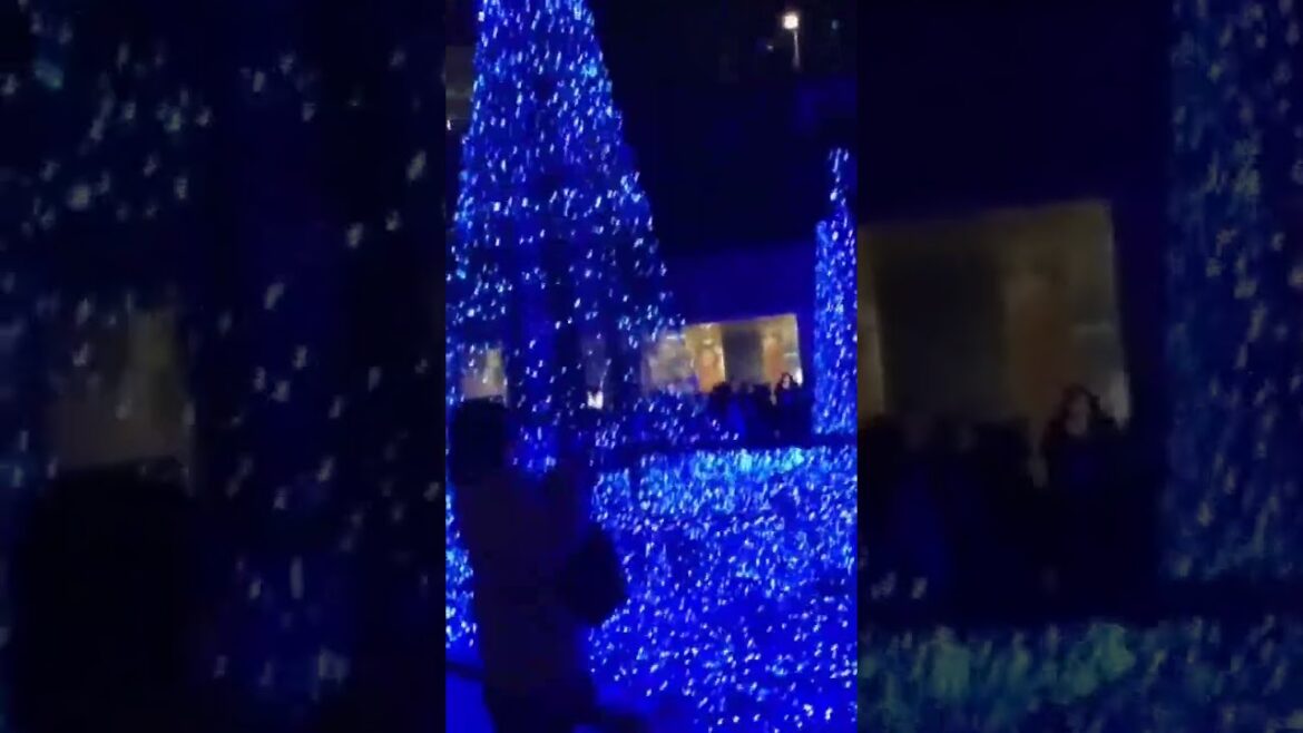 WINTER ILLUMINATIONS in TOKYO #tokyo #japan #japanese #illumination #winter WINTER ILLUMINATIONS in TOKYO #tokyo #japan #japanese #illumination #winter