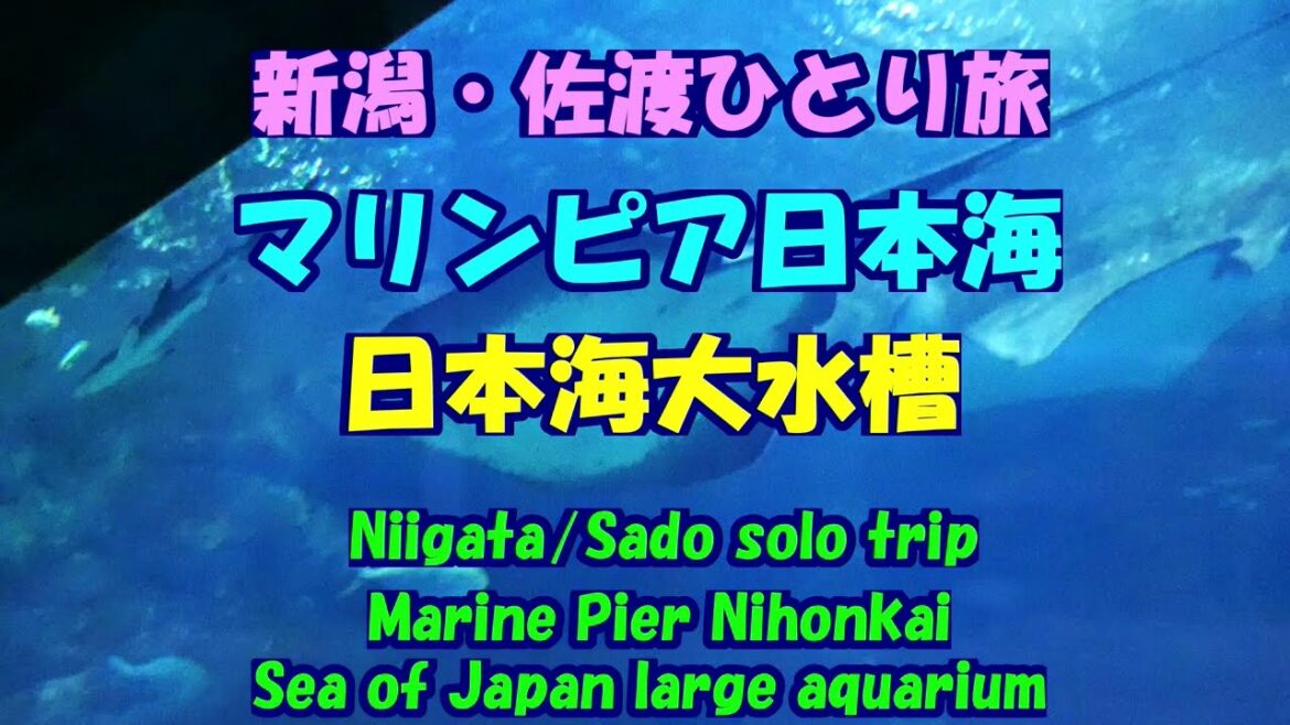 新潟・佐渡ひとり旅★マリンピア日本海★日本海大水槽・Marine Pier Nihonkai・Sea of ​​Japan large aquarium・Niigata/Sado trip