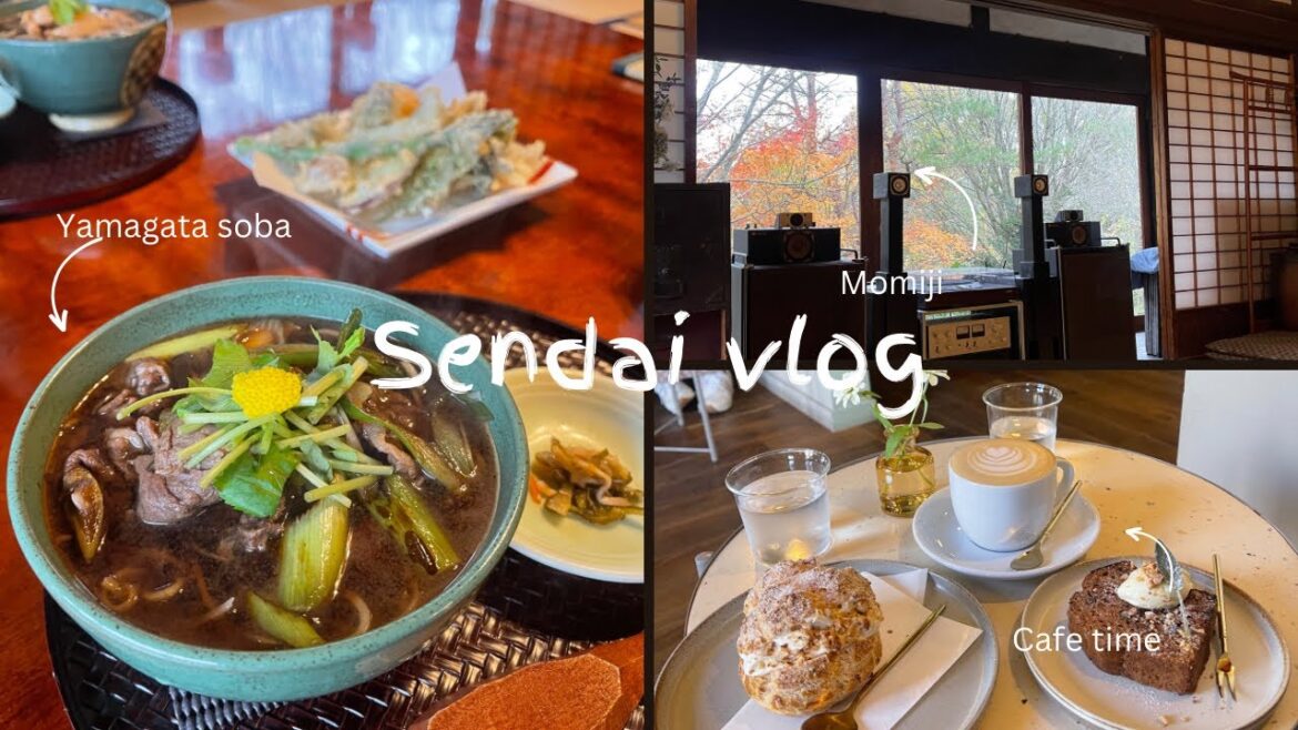 Sendai Vlog | Japan Travel