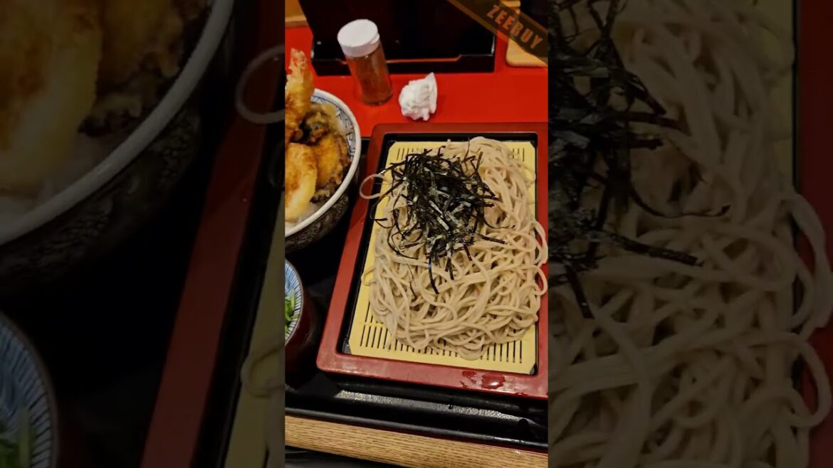 Tokyo, Osaka & Kyoto Vlog