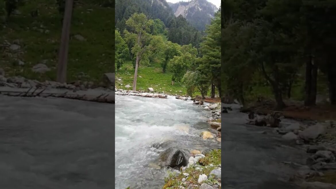 Amazing Early Morning Weather Kumrat Valley today 2023 #travel #shortsfeed