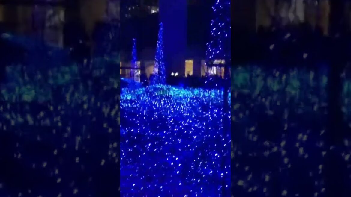 WINTER ILLUMINATIONS in TOKYO #tokyo #japan #japanese #illumination #winter WINTER ILLUMINATIONS in TOKYO #tokyo #japan #japanese #illumination #winter
