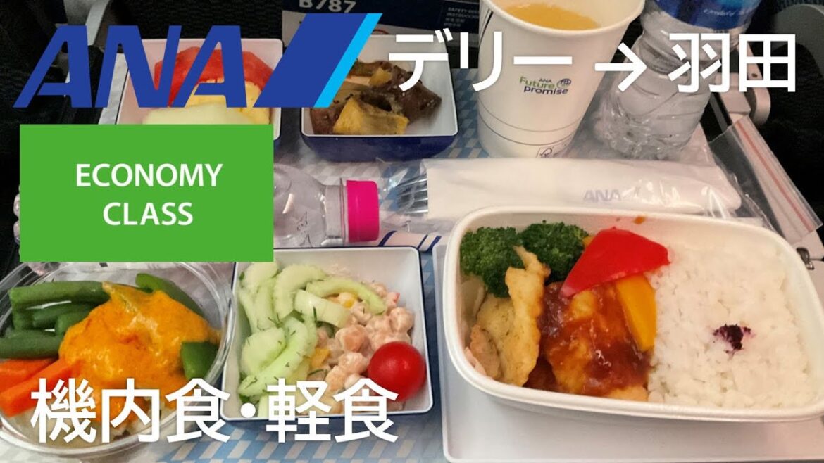 【ANAデリー便エコノミークラス機内食・軽食】ANA838便、インディラ・ガンディー国際空港→羽田空港 Economy class In flight meal
