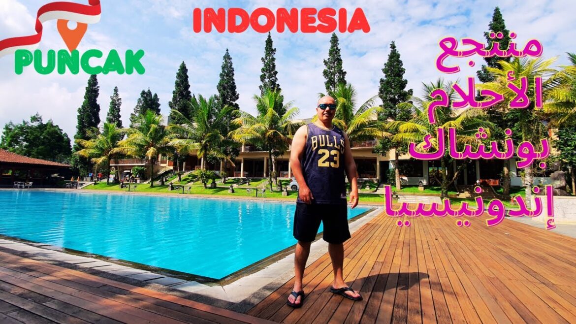 منتجع على الجبل الأخضر فى بونشاك – إندونيسيا Jimmers Mountain Resort منتجع على الجبل الأخضر فى بونشاك - إندونيسيا Jimmers Mountain Resort