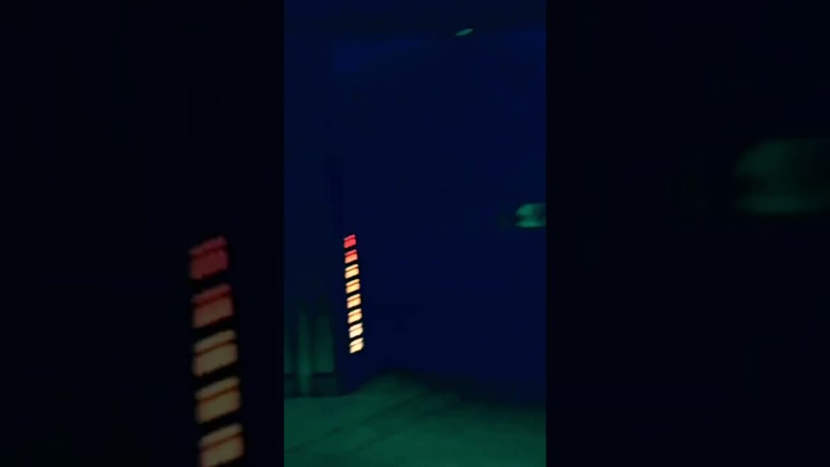 WINTER ILLUMINATIONS in TOKYO #tokyo #japan #japanese #illumination #winter