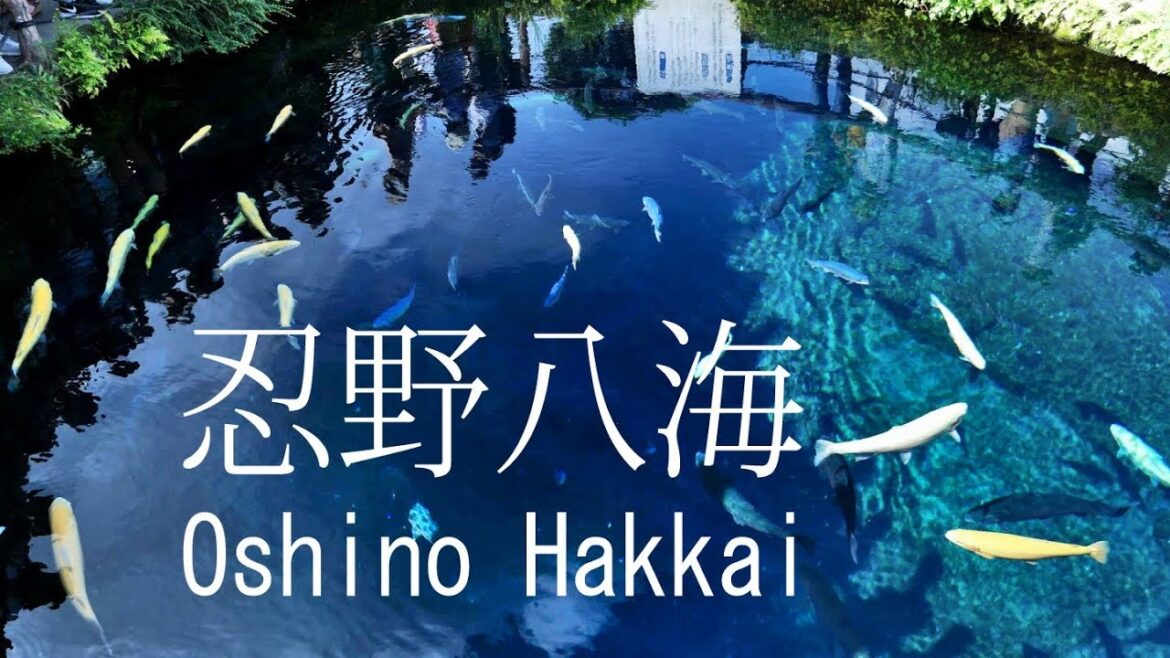 忍野八海 富士山の湧水池 Oshino Hakkai