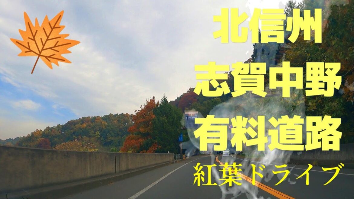 「志賀中野有料道路」長野県中野市 紅葉 “Shiga Nakano Toll Road” Nakano City, Nagano Prefecture Autumn leaves 「志賀中野有料道路」長野県中野市 紅葉 "Shiga Nakano Toll Road" Nakano City, Nagano Prefecture Autumn leaves
