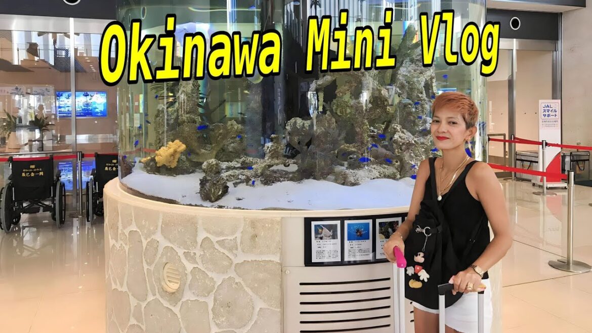 Okinawa Japan Mini Vlog part 1