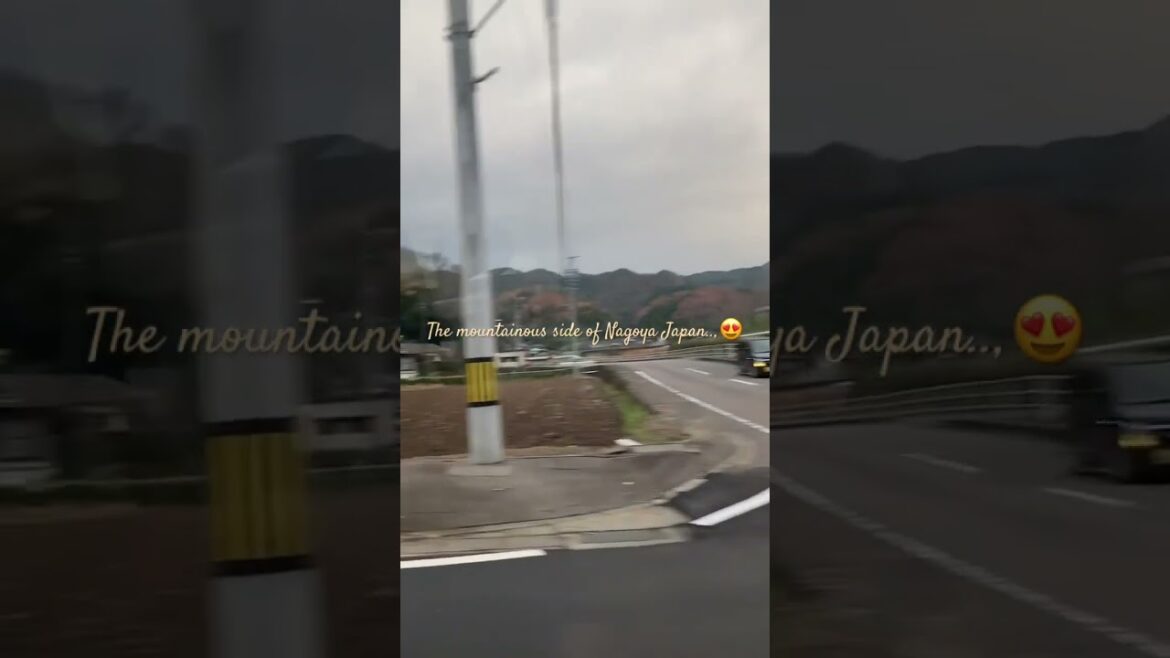 Mountains of Nagoya #travel #japanlover #automobile #asiantravel #japan #japantravel #shortsvideo