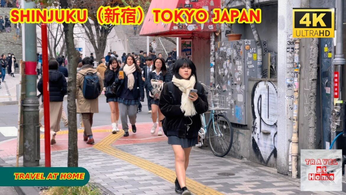4k hdr japan travel | Walk in Shinjuku（新宿）Tokyo Japan |  Relaxing Natural City ambience