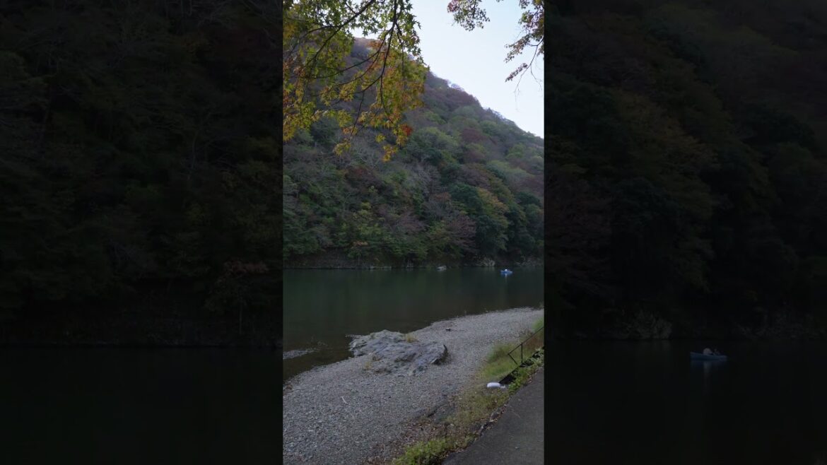 autumn Japan　 #japanwalker　#autumn 　 #asiantravel