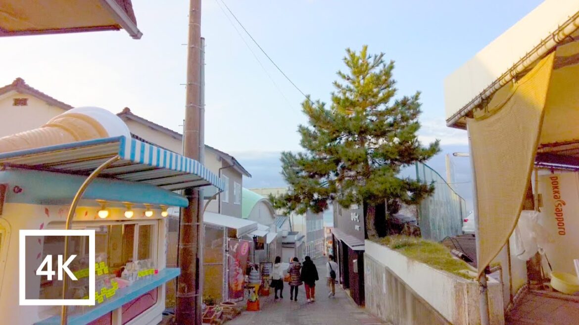 Japan 4K Walking Tour – Stroll through Tojinbo, a cliff along the coast of Fukui Prefecture Japan 4K Walking Tour - Stroll through Tojinbo, a cliff along the coast of Fukui Prefecture