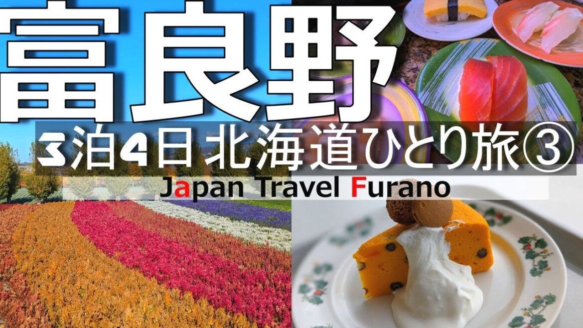 【富良野 ひとり旅 】グルメやファーム富田などの観光スポットを車を使わずに楽しむ【北海道】