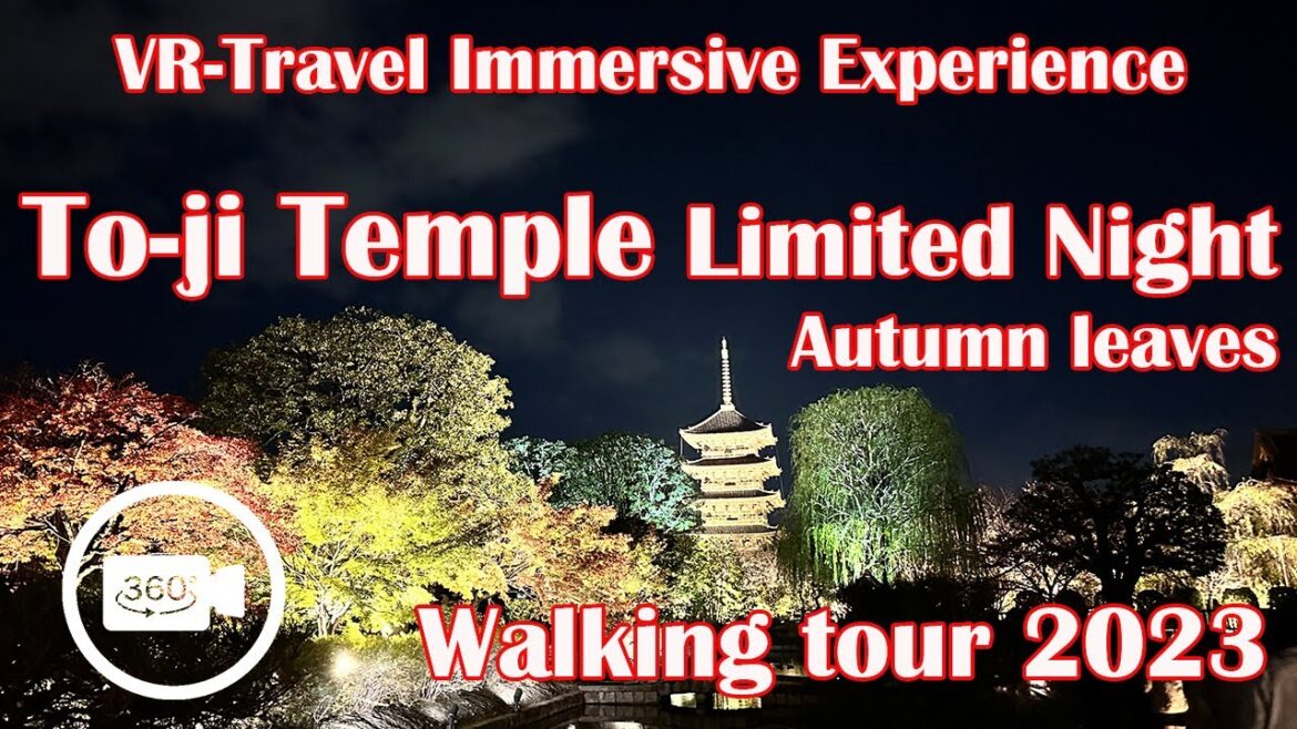 Walking Tour To-ji Temple Limited Night illmination Kyoto 2023/11/19 東寺 紅葉ライトアップ#京都紅葉 #ライトアップ #紅葉の名所