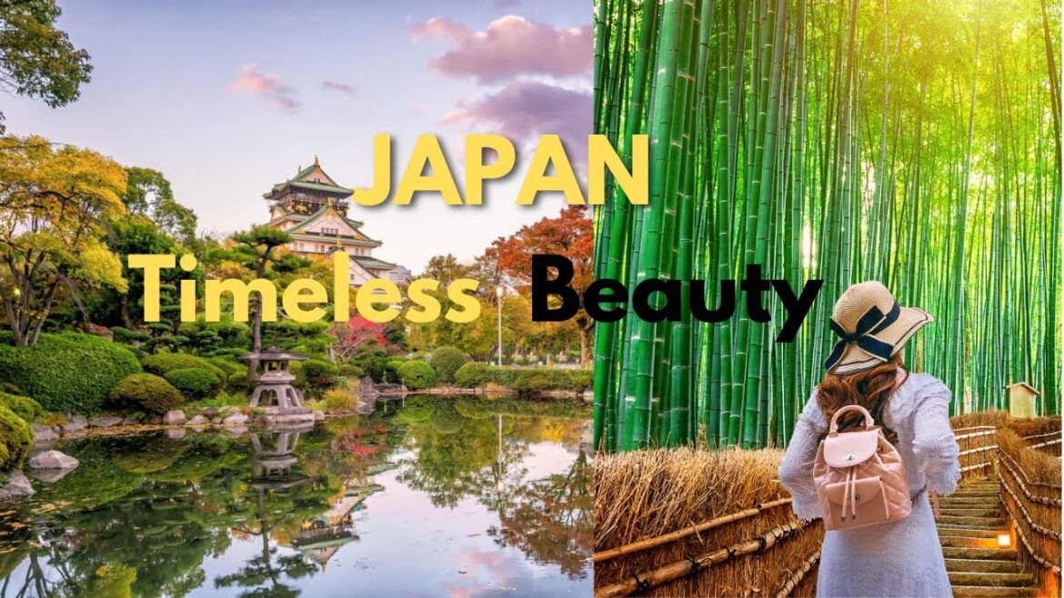 Japan Best Places to Visit| Japan Travel| Travel-Guide
