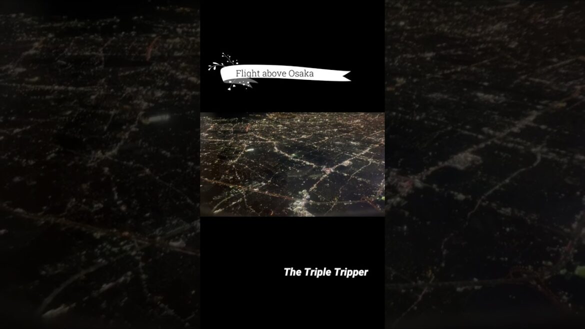 "Flight above Osaka"  Japan Trip-Log #shorts 3