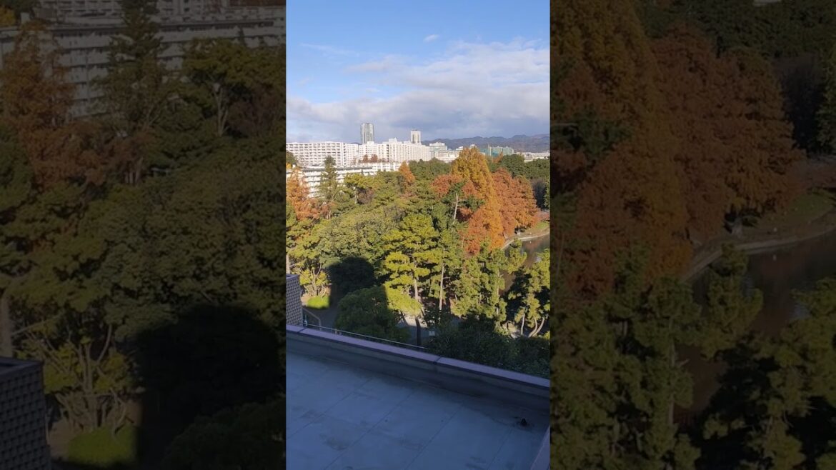 Nice view National Park, Minami Senri, Japan Autumn  #traveling #asiantravel #foryou #train #phnom