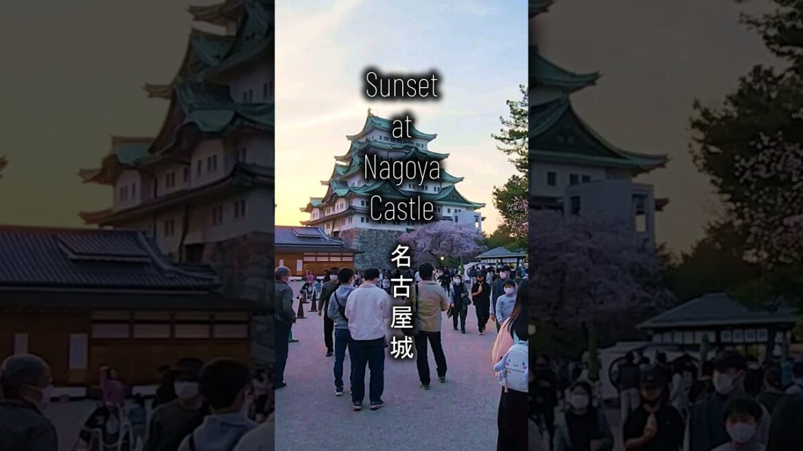 Catch beautiful sunset at Nagoya Castle π
πΈπ―#nagoya Catch beautiful sunset at Nagoya Castle π
πΈπ―#nagoya