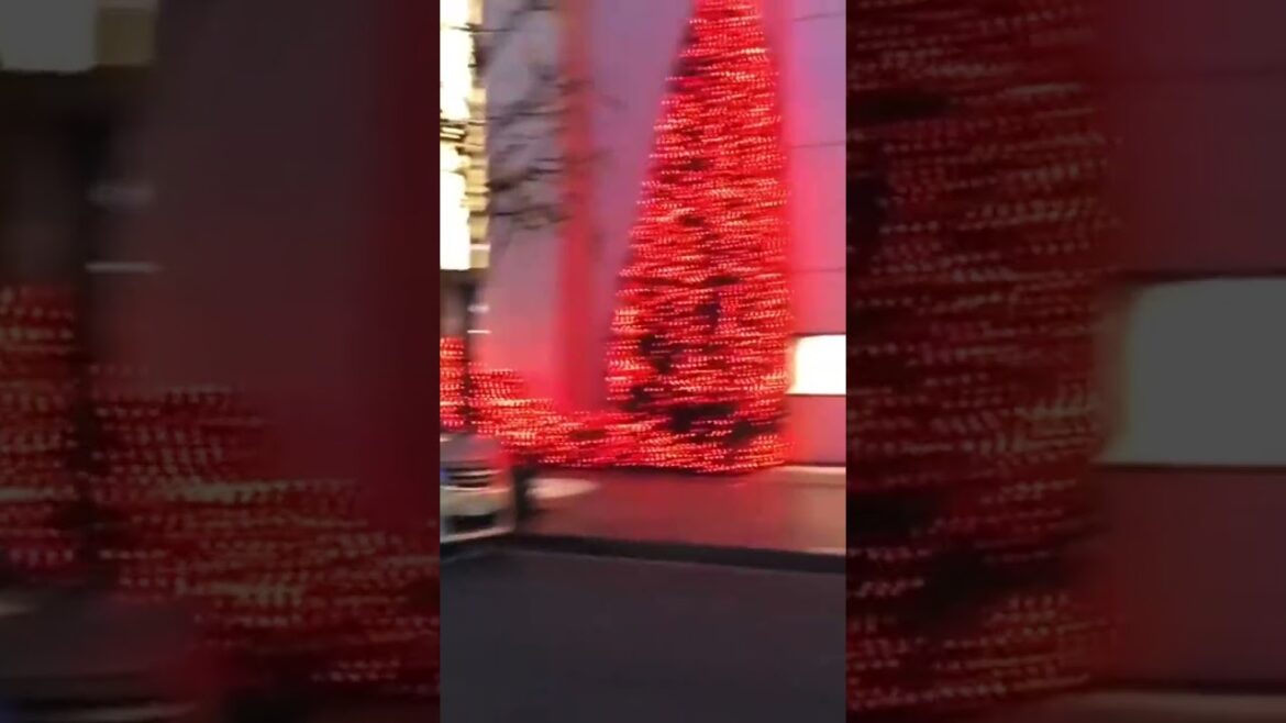 WINTER ILLUMINATIONS in TOKYO #tokyo #japan #japanese #illumination #winter