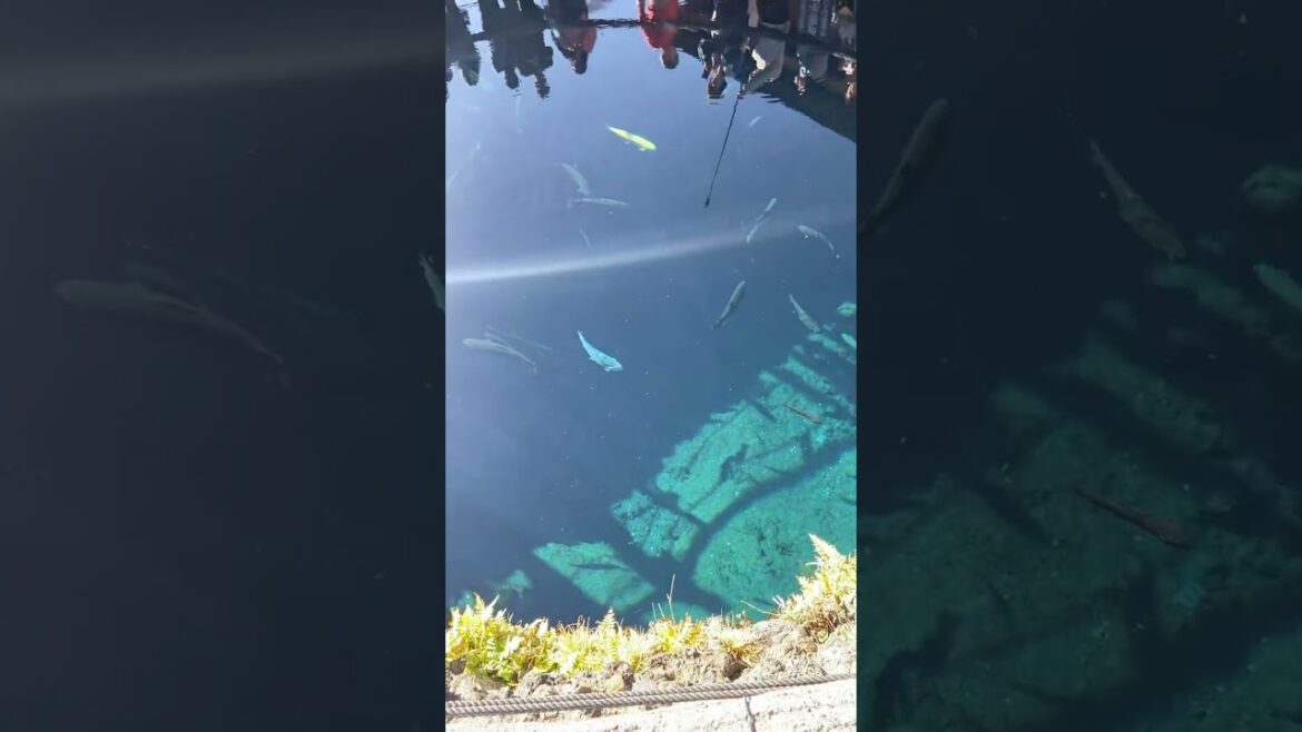 Clear pool in Japan near Mount Fuji