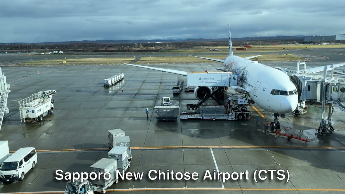 ANA Aircraft (Demon Slayer Livery) parked at Sapporo New Chitose Airport/ANA鬼滅の刃ジェット