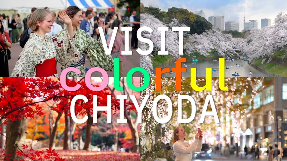 Welcome to Tokyo's Colorful Chiyoda Ward, Enjoyable in Every Season!