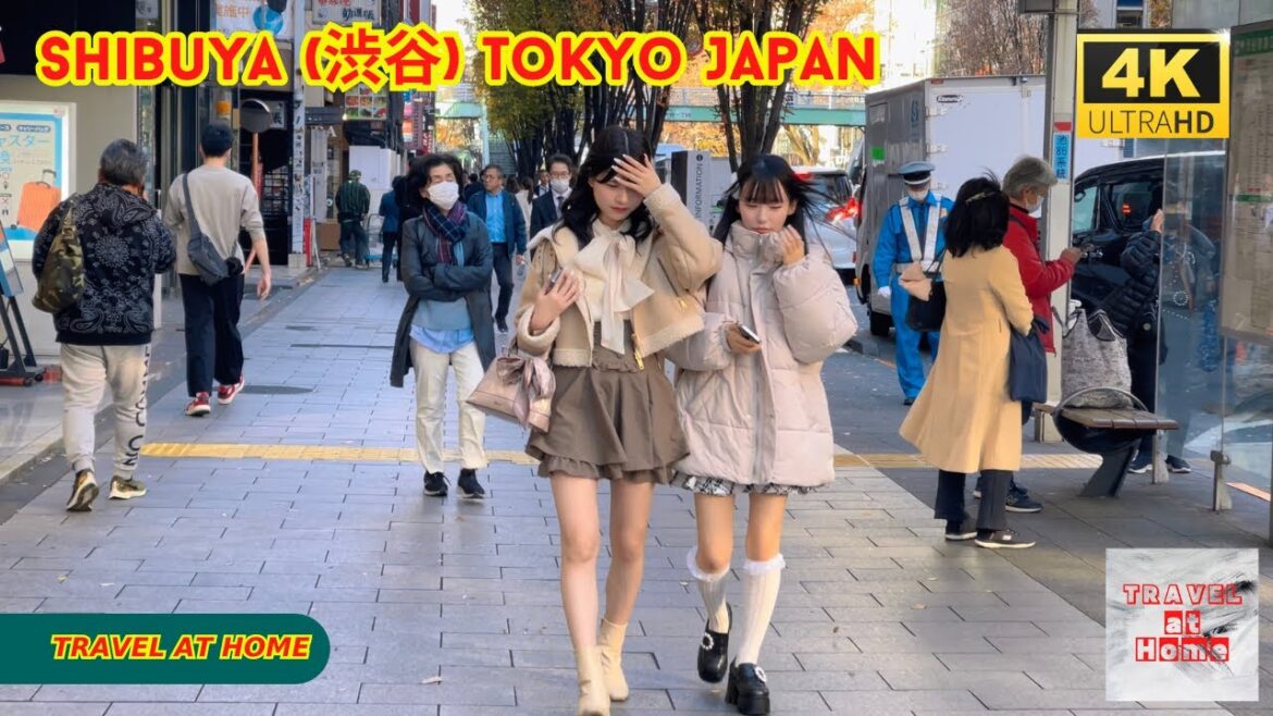 4k hdr japan travel | Walk in Shibuya (渋谷) Tokyo japan |  Relaxing Natural City ambience