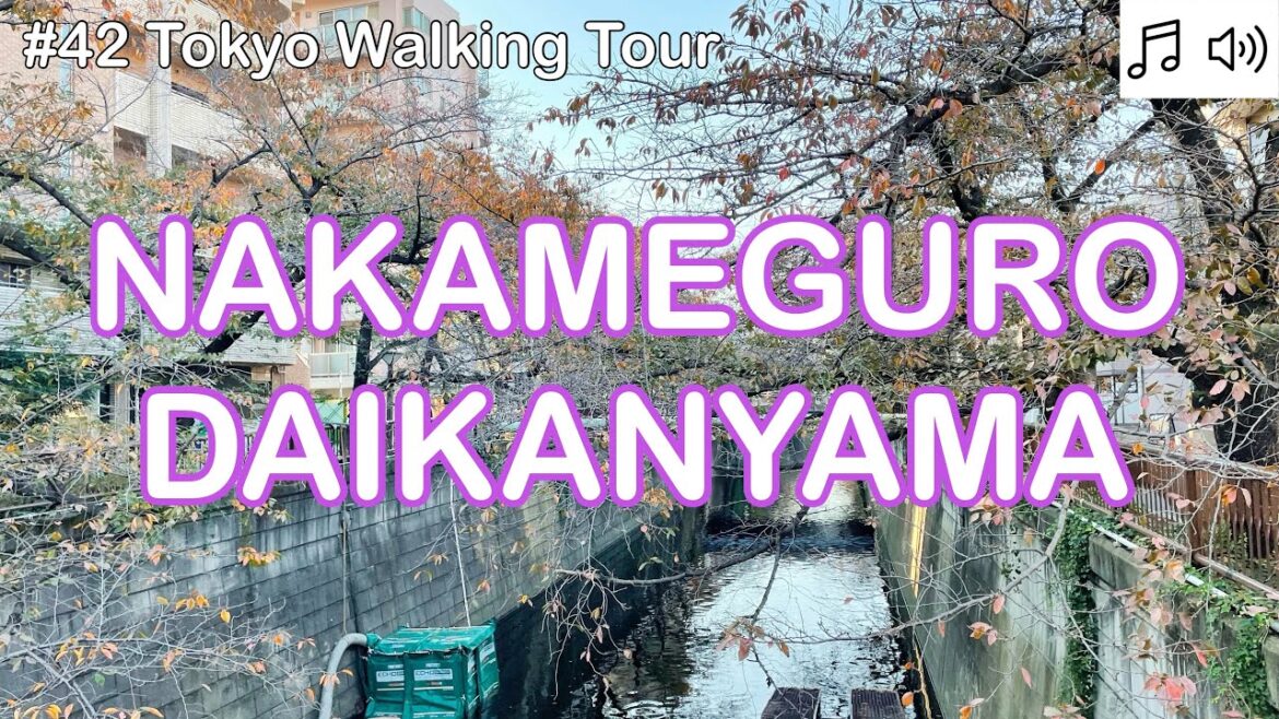 【# 42 Tokyo Walking Tour 2023】 Nakameguro to Daikanyama Walk 4K. 【# 42 Tokyo Walking Tour 2023】 Nakameguro to Daikanyama Walk 4K.