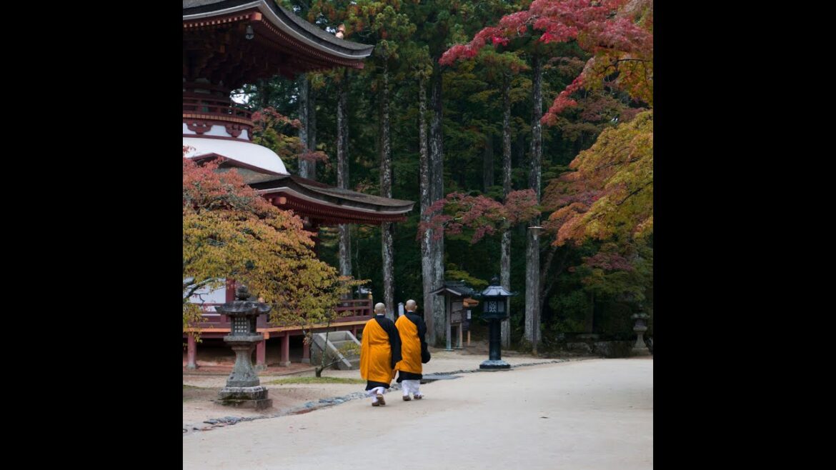 Koyasan: A Spiritual Retreat Amidst Sacred Temples and Forests