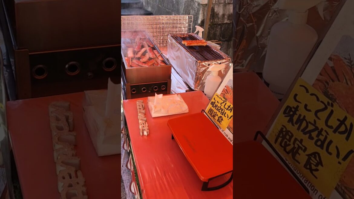 អាហារឆ្ងាញ់ៗតាមផ្លូវនៅជប៉ុន, street food in Kyoto, Japan #foryou #food #travel #streetfood