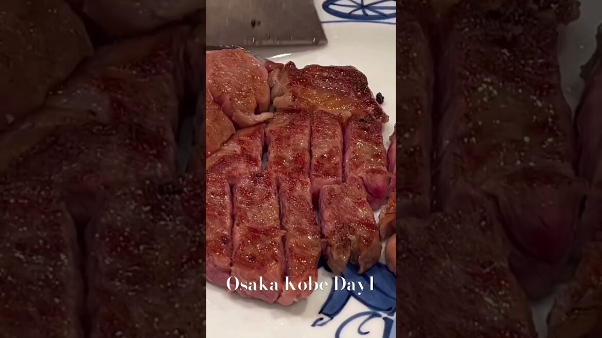 🇯🇵 오사카 고베 여행 1일차 25초 요약 ✈️