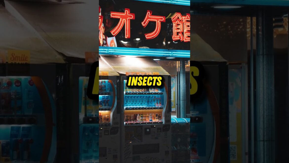 Vending Machine Wonderland🤯🍣🍜🦗