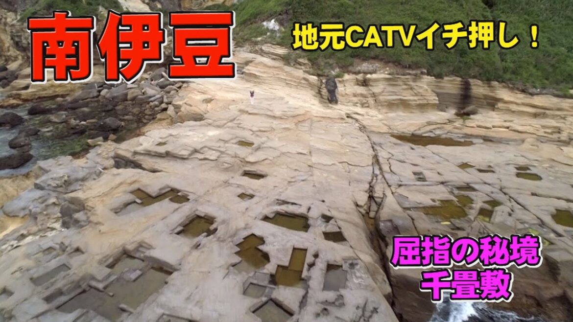 【南伊豆】秘境、千畳敷まで地元ガイドさんと遊歩道ルートで行ってみました