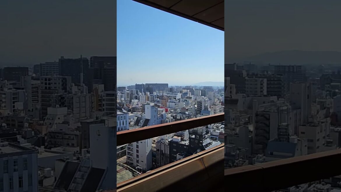 View of #Kumamoto Castle from Kumamoto City Hall observation deck #shorts View of #Kumamoto Castle from Kumamoto City Hall observation deck #shorts