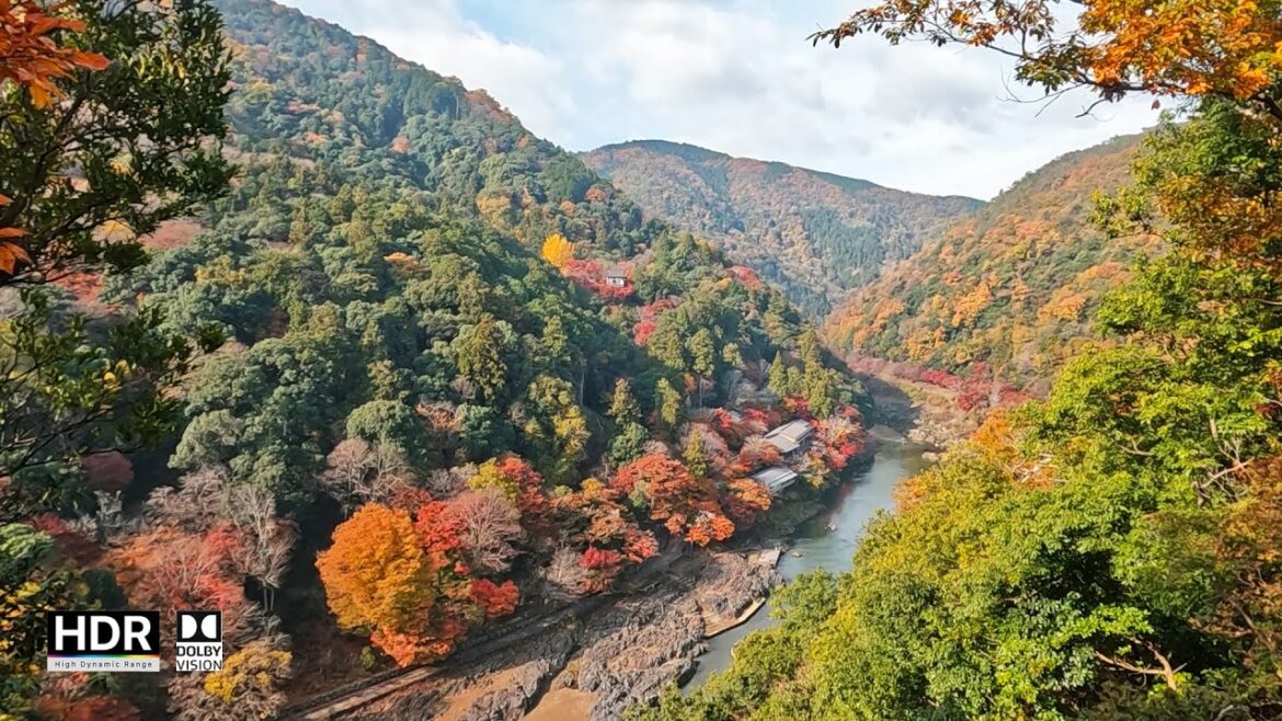 JAPAN TRAVEL | Autumn leaves at Arashiyama | Arashiyama Park Observation Deck | Kameyama Park JAPAN TRAVEL | Autumn leaves at Arashiyama | Arashiyama Park Observation Deck | Kameyama Park