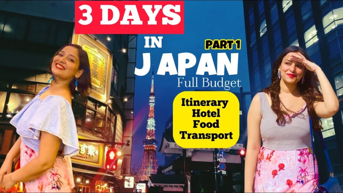 Best JAPAN Travel Vlog | 3 Days in TOKYO with budget : Places to SEE, EAT & TRANSPORT in Hindi Best JAPAN Travel Vlog | 3 Days in TOKYO with budget : Places to SEE, EAT & TRANSPORT in Hindi