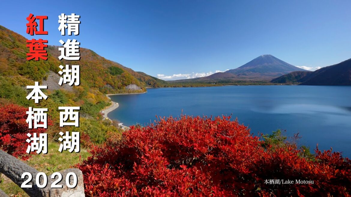 2020 富士五湖の秋（本栖湖・精進湖・西湖）(4K) Autumn Colors At Fuji Five Lakes (Motosuko,Shojiko,Saiko)(UHD)