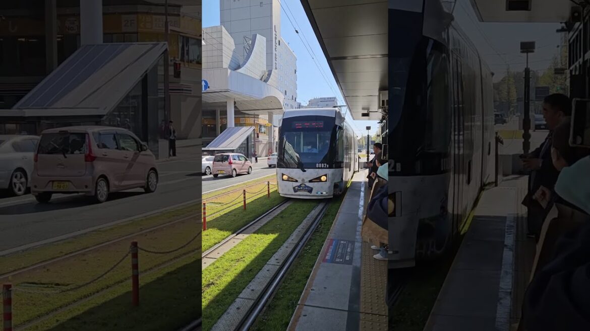 Kumamoto City Tram (熊本市電電車) #shorts