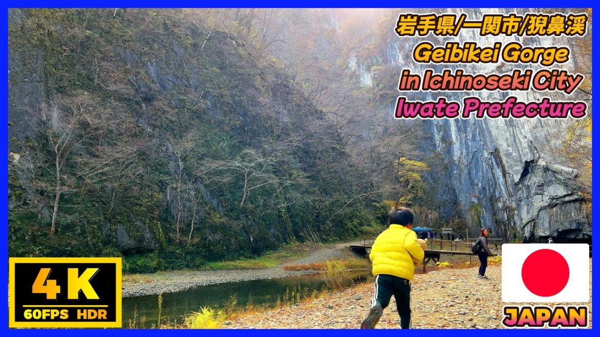 猊鼻渓（げいびけい）で渓流船下り😊