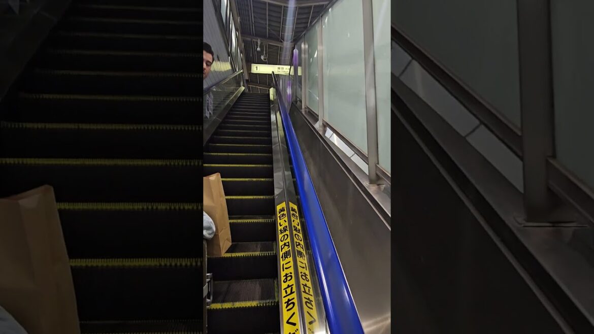 🇯🇵 Welcome to Yokohama 🇯🇵