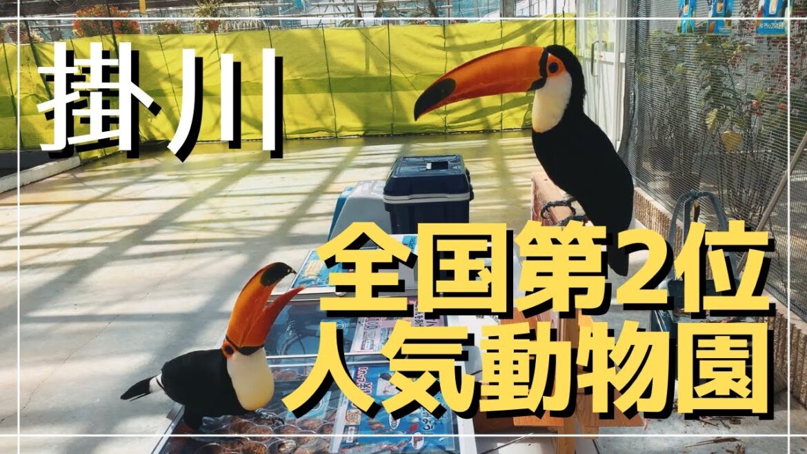 【vlog#4】新幹線が半額なので掛川へ行く。~掛川花鳥園でどうぶつとふれあう~ 【vlog#4】新幹線が半額なので掛川へ行く。~掛川花鳥園でどうぶつとふれあう~