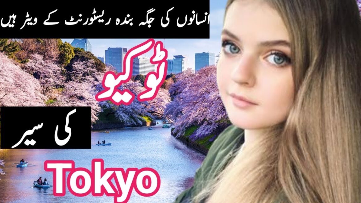 Travel to Tokyo by rana shahazd official| Full History and Documentary about Tokyo | Tokyo Ki Sair