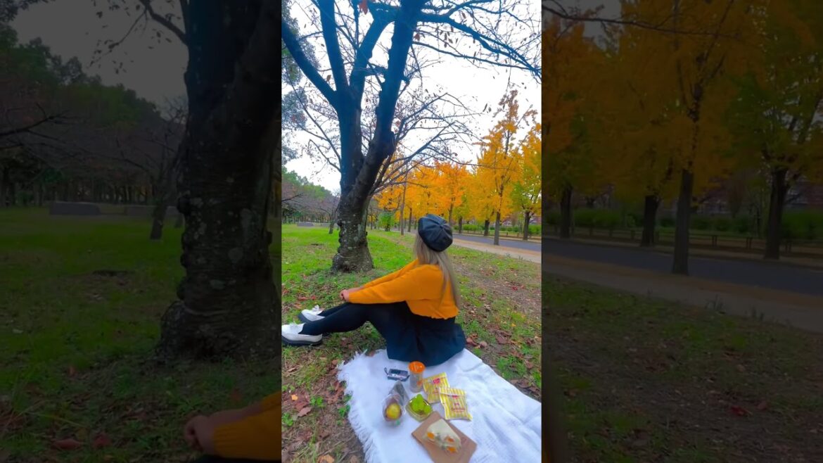 Capturing the Magic: A Photo Journey through Shinjuku Gyoen in Winter! ❄️📸 | Winter Wonderland 4K