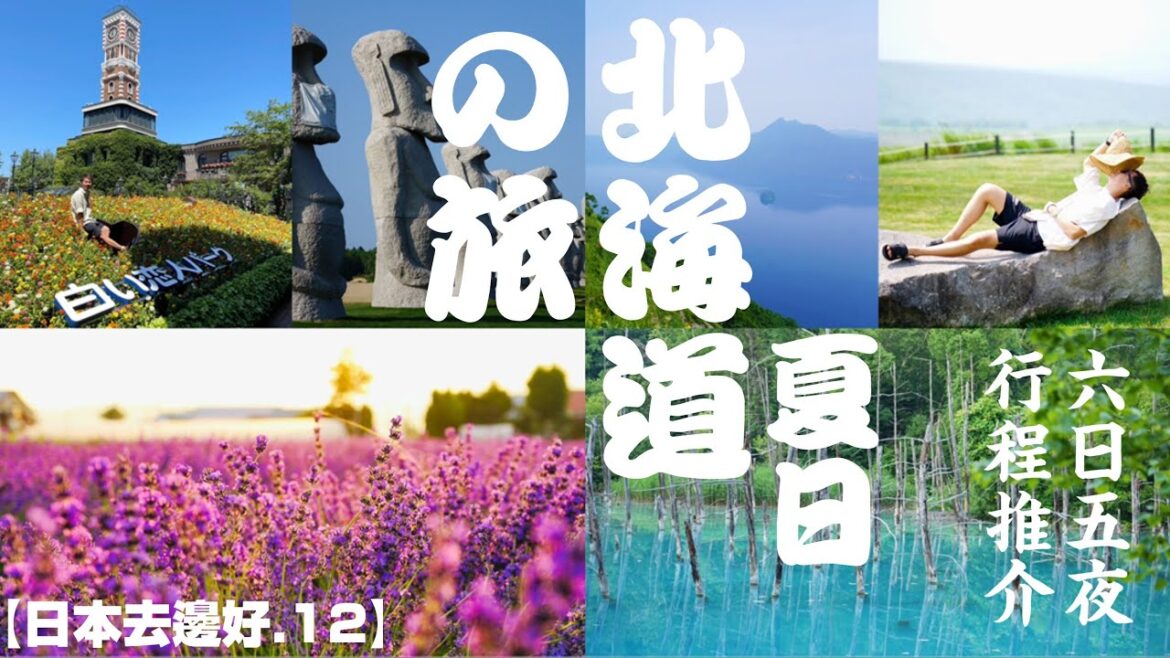 【日本去邊好12】不一樣的北海道|夏日遊必去景點|自駕遊6日行程路線|中日字幕 【日本去邊好12】不一樣的北海道|夏日遊必去景點|自駕遊6日行程路線|中日字幕
