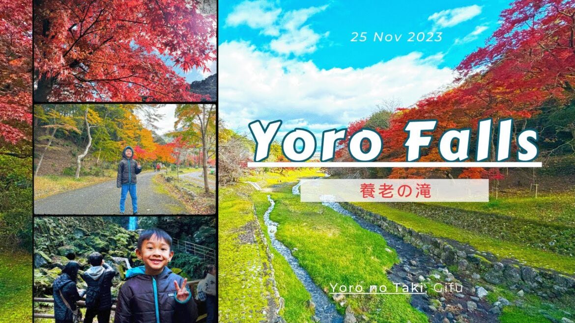Yoro Waterfall #養老の滝 #yoro #taki #waterfall #gifu #park #japan #travel #nature #autumn #nagoya