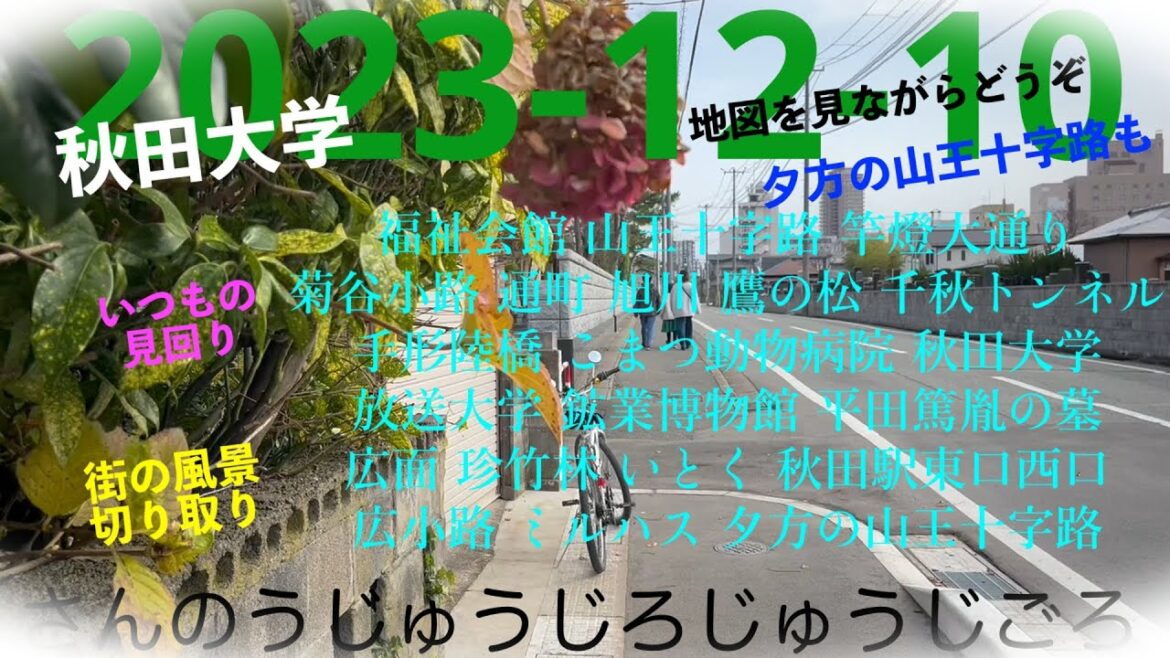 2023-12-10 さんのうじゅうじろじゅうじごろ